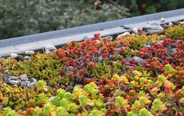 the cost of West Morden green roof installation