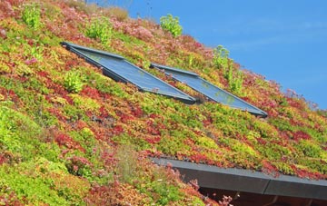 West Morden living roof systems